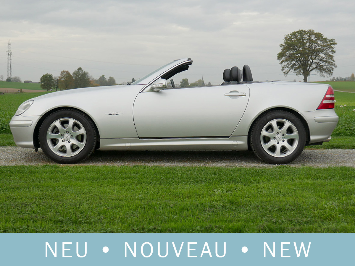 Mercedes Benz SLK 320 V6 Final Edition silber 2004