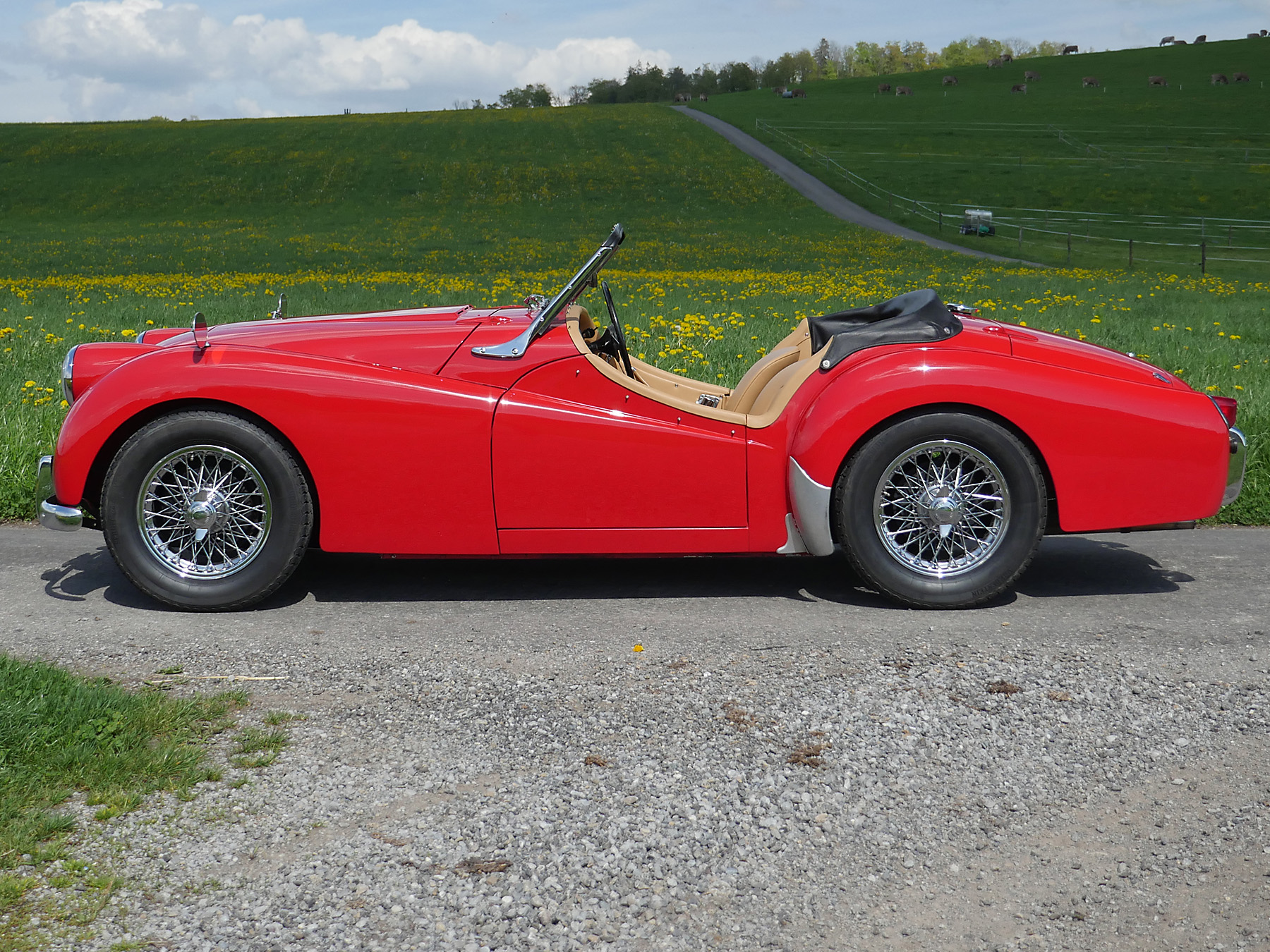 Triumph TR2 rot 1955