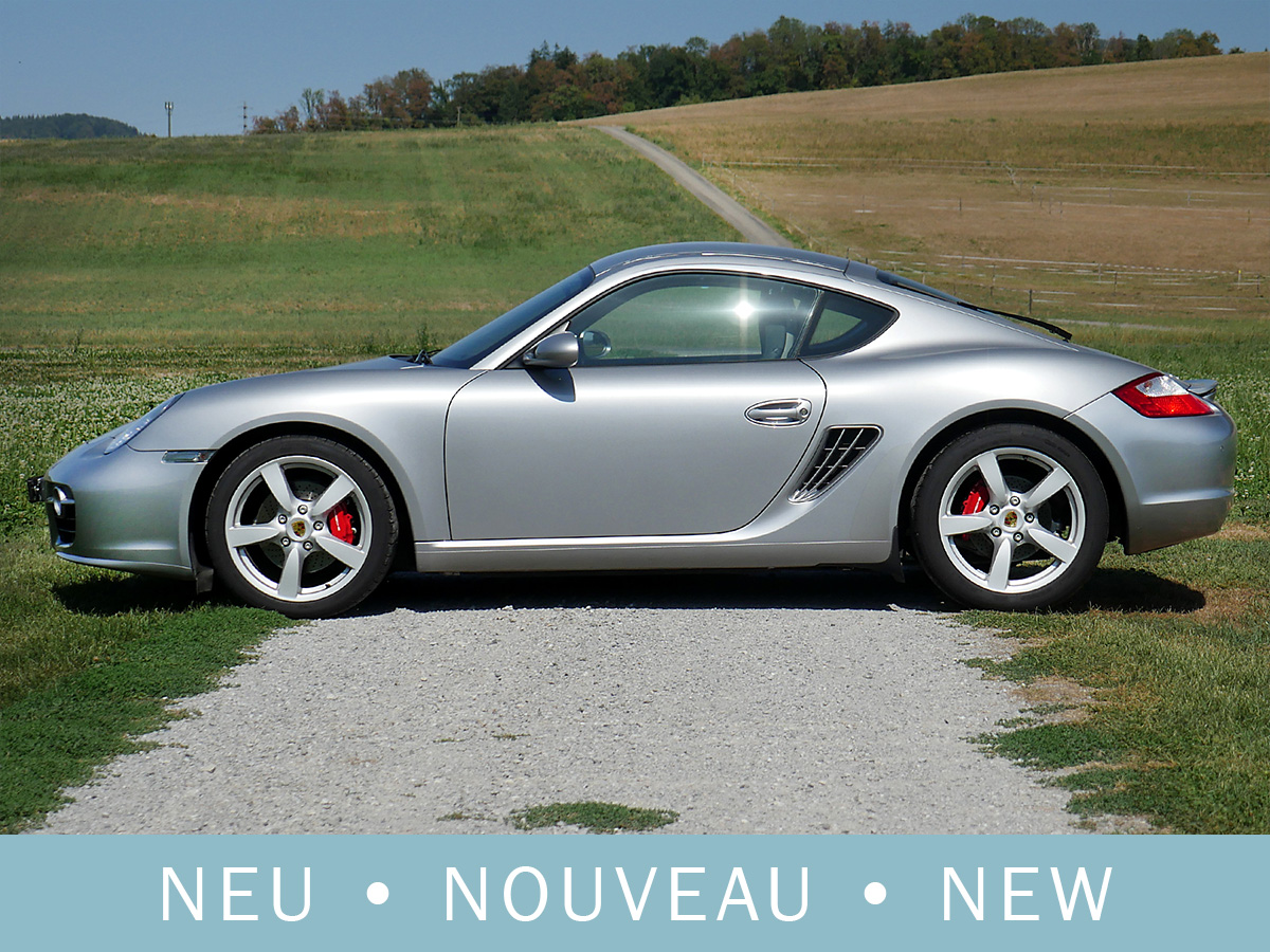 Porsche Cayman 3.4 S 987 GT-silber Palmgreen 2007