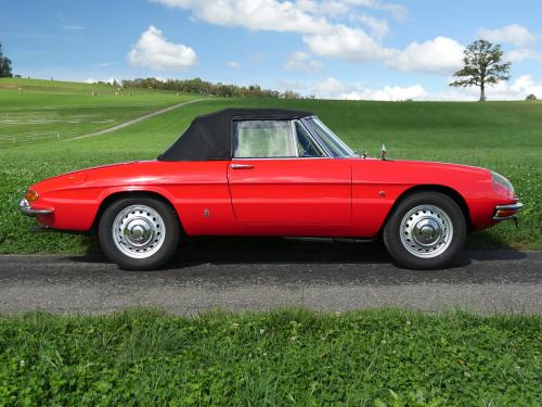 alfa romeo duetto rot 1967 0009 9