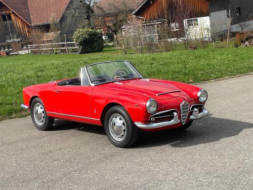 alfa romeo giulia 1600 spieder rot 1963 0001 IMG 2