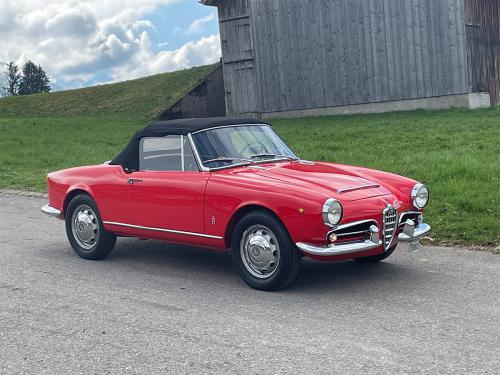 alfa romeo giulia 1600 spieder rot 1963 0003 IMG 4
