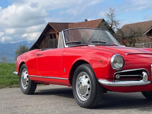alfa romeo giulia 1600 spieder rot 1963 0006 IMG 7
