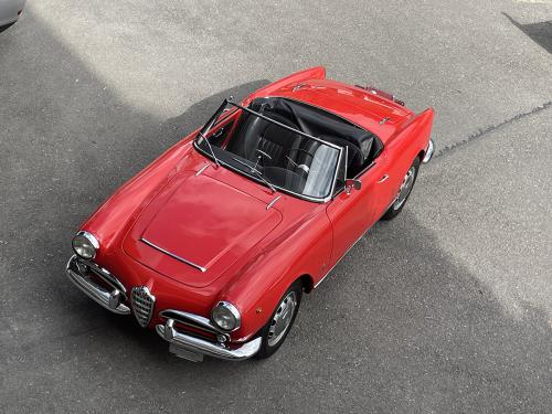 alfa romeo giulia 1600 spieder rot 1963 0019 IMG 20