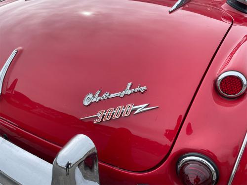 austin healey 3000 mk III rot 1964 0013 IMG 14