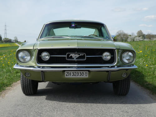 ford mustang gt s-code v8 390cui green 1967 0003 4