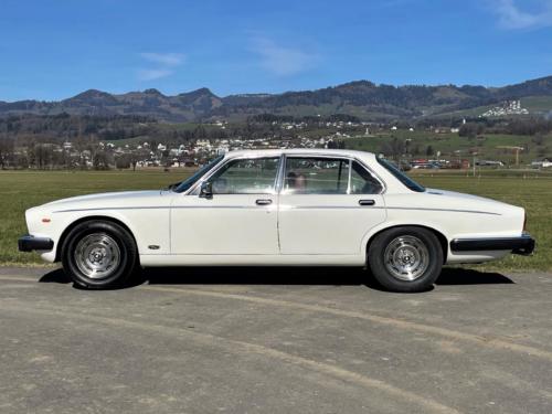 jaguar xj12 limousine serie III weiss 1982 0000 IMG 1