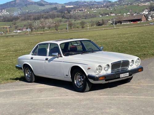 jaguar xj12 limousine serie III weiss 1982 0002 IMG 3