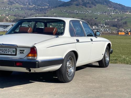 jaguar xj12 limousine serie III weiss 1982 0008 IMG 9