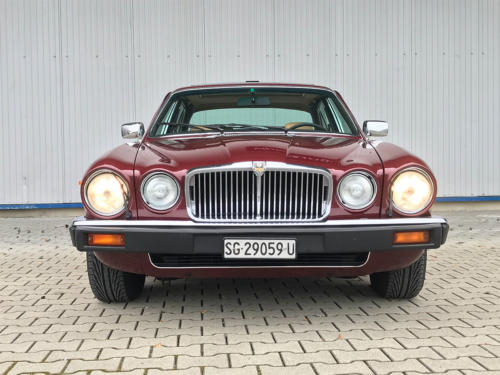 jaguar xj6 4-2 serie3 bordeaux 1984 0005 Ebene 10