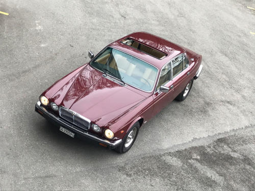 jaguar xj6 4-2 serie3 bordeaux 1984 0014 Ebene 1