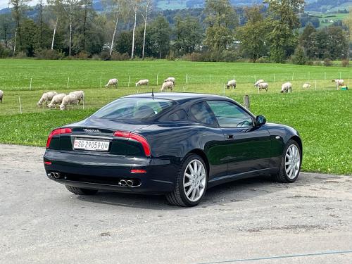 maserati 3200 gt coupe manual dunkelgruen 2002 0004 IMG 5