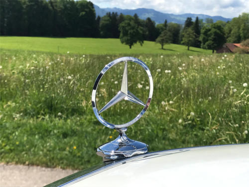 mercedes benz 250 strich acht weiss 1975 1200x900 0015 16