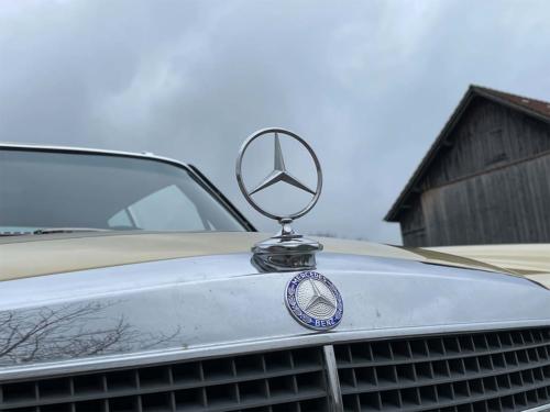 mercedes benz 280 c coupe strich 8 hellgelb 1973 0016 IMG 17